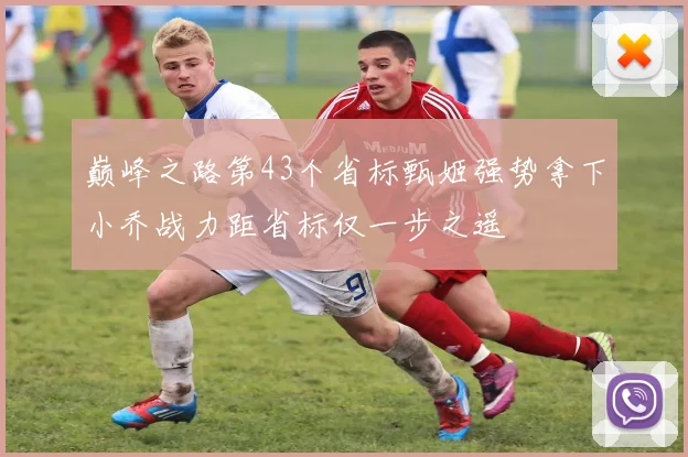 巅峰之路第43个省标甄姬强势拿下小乔战力距省标仅一步之遥