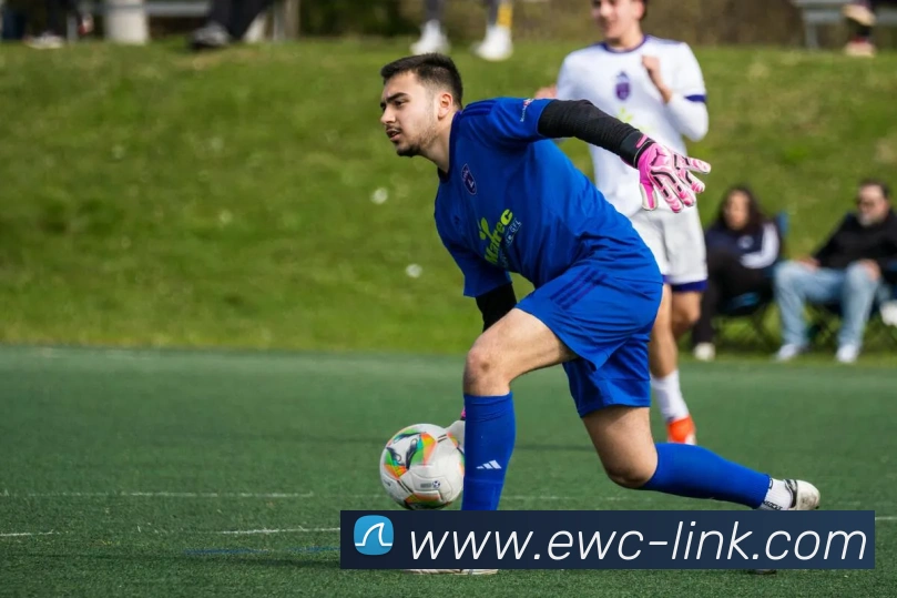 EWC电竞世界杯官网 | 专注LOL、DOTA2及沙特电竞盛会深度报道门户APP 封面图