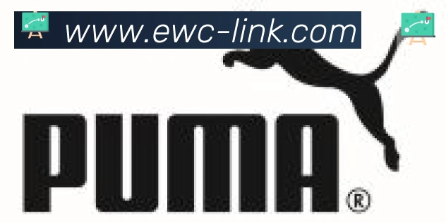 EWC电竞世界杯合作伙伴